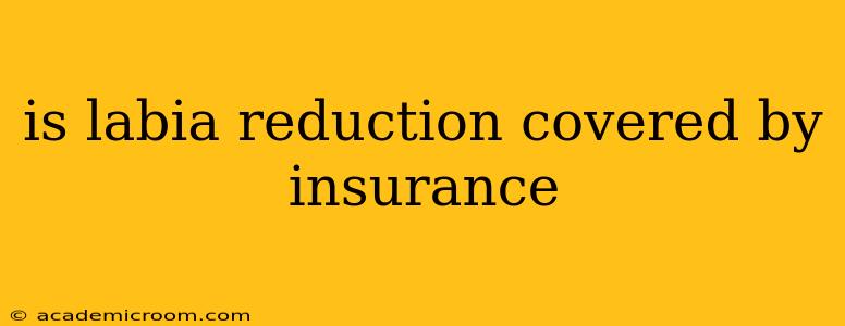 is labia reduction covered by insurance