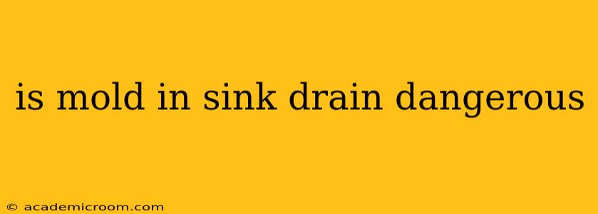 is mold in sink drain dangerous