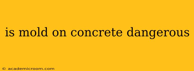 is mold on concrete dangerous