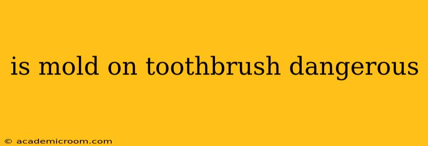 is mold on toothbrush dangerous