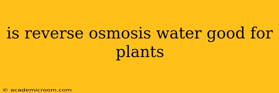 is reverse osmosis water good for plants