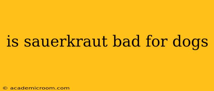 is sauerkraut bad for dogs