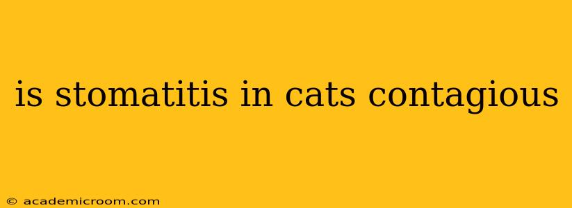 is stomatitis in cats contagious