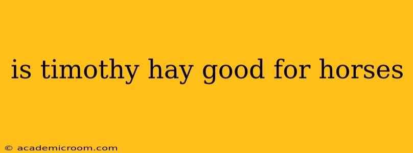 is timothy hay good for horses