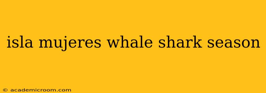 isla mujeres whale shark season