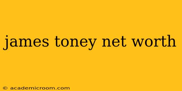 james toney net worth