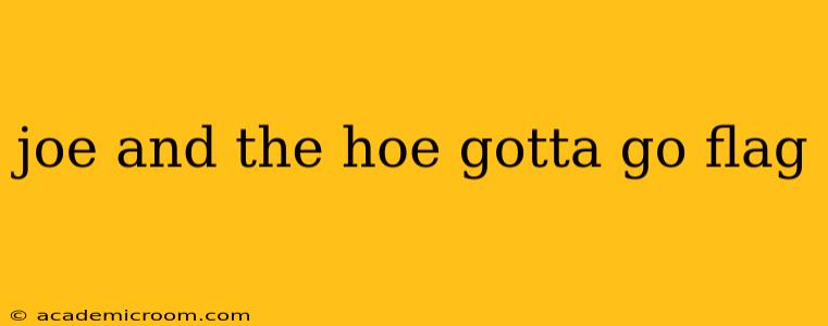 joe and the hoe gotta go flag