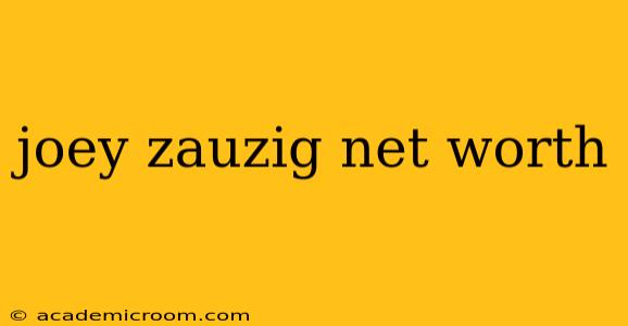 joey zauzig net worth