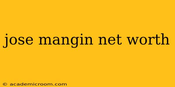 jose mangin net worth