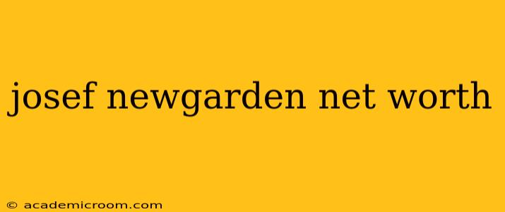 josef newgarden net worth