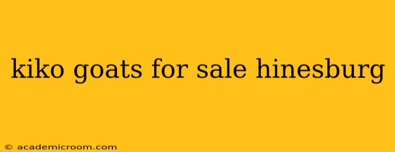 kiko goats for sale hinesburg