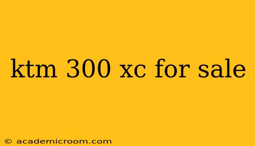 ktm 300 xc for sale