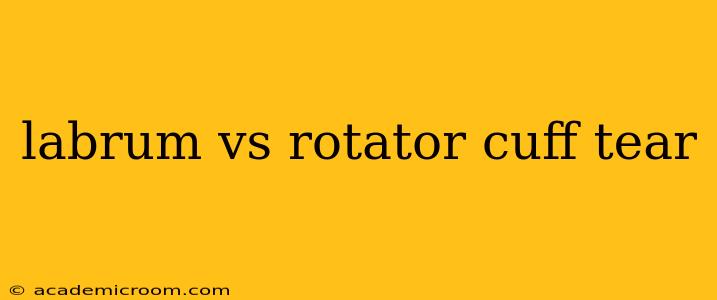 labrum vs rotator cuff tear