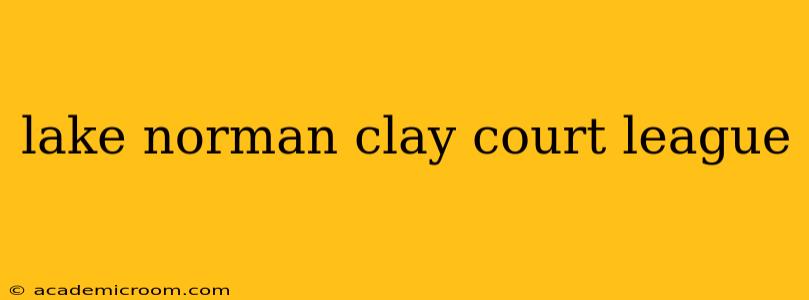 lake norman clay court league