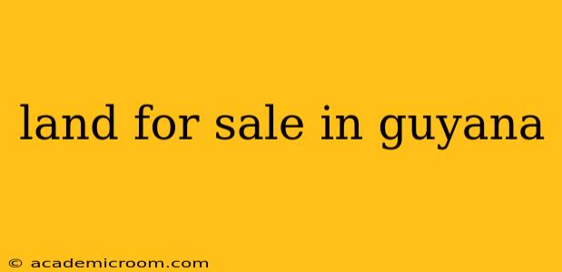 land for sale in guyana