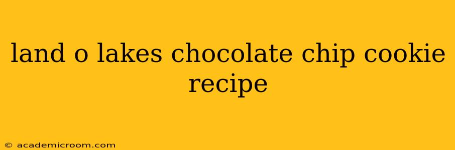 land o lakes chocolate chip cookie recipe