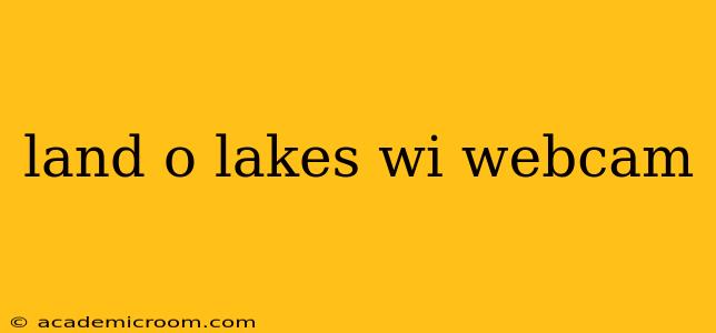 land o lakes wi webcam