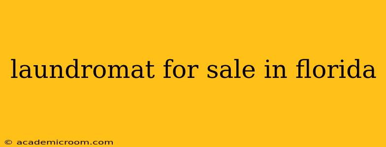 laundromat for sale in florida