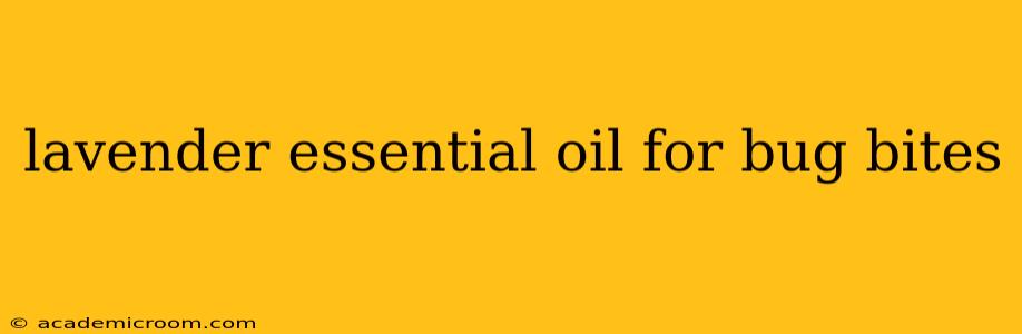 lavender essential oil for bug bites