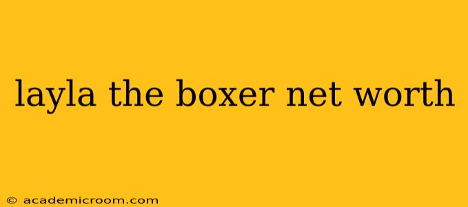 layla the boxer net worth