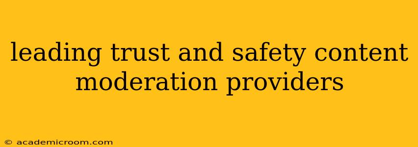leading trust and safety content moderation providers