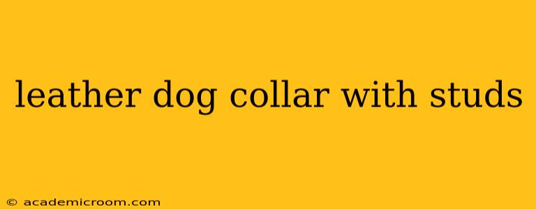 leather dog collar with studs