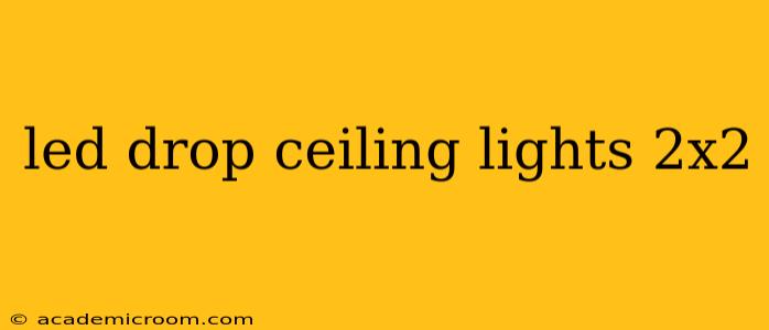 led drop ceiling lights 2x2