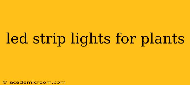 led strip lights for plants