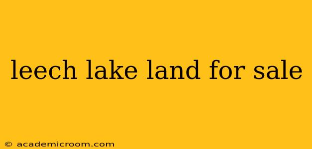 leech lake land for sale