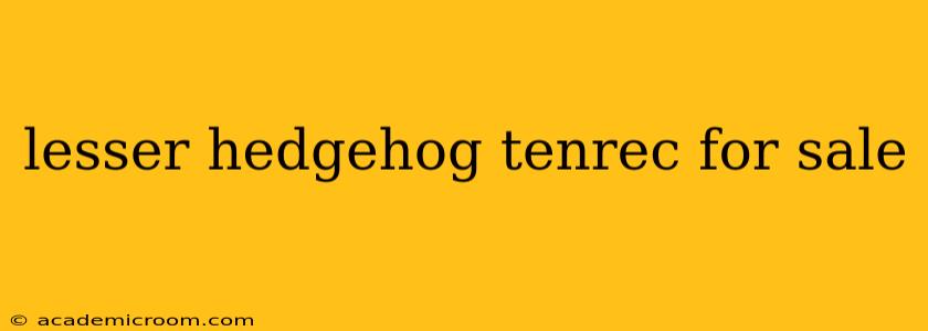 lesser hedgehog tenrec for sale