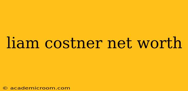 liam costner net worth