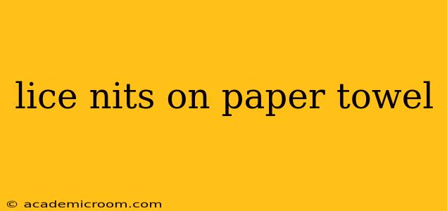 lice nits on paper towel