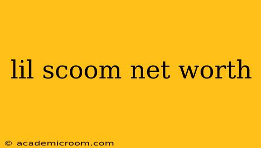 lil scoom net worth