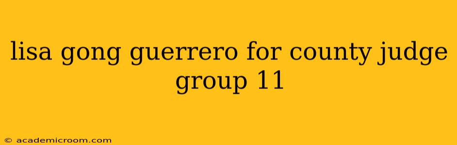 lisa gong guerrero for county judge group 11