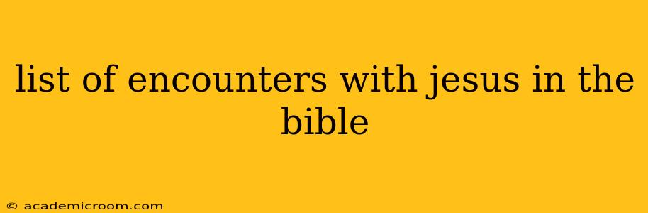 list of encounters with jesus in the bible
