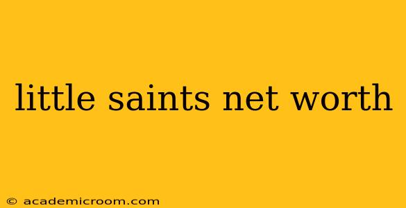 little saints net worth