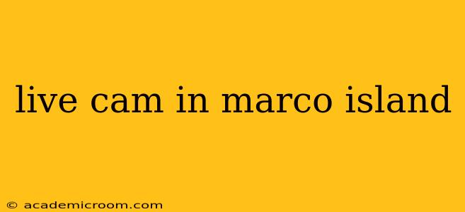 live cam in marco island