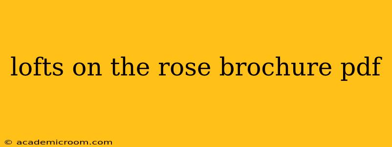 lofts on the rose brochure pdf
