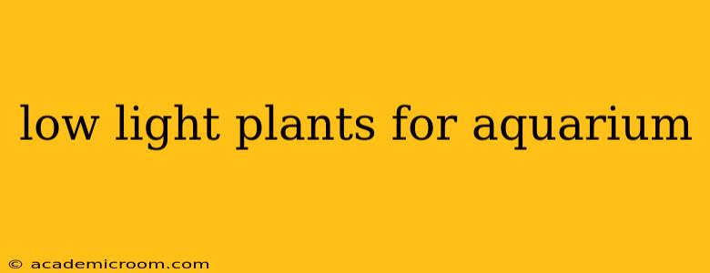low light plants for aquarium
