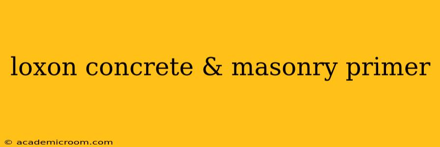 loxon concrete & masonry primer