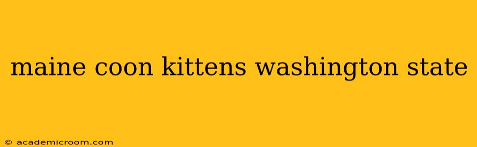 maine coon kittens washington state