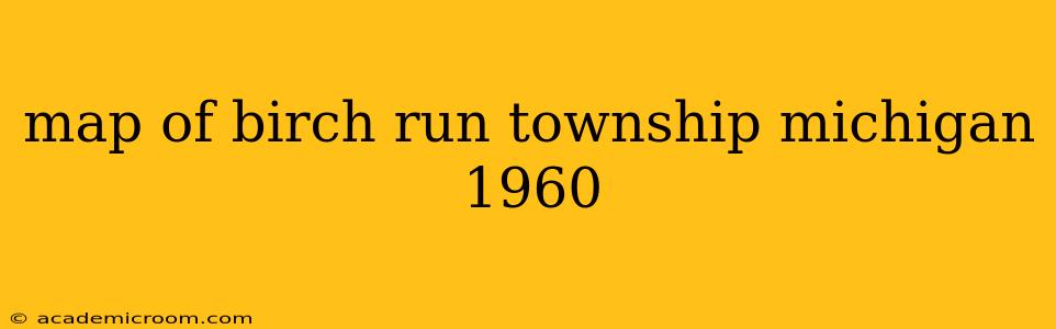 map of birch run township michigan 1960