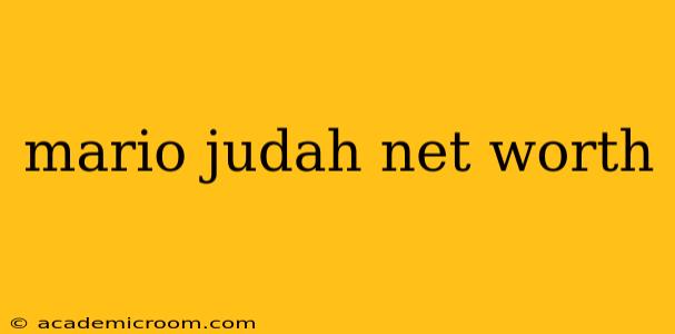 mario judah net worth