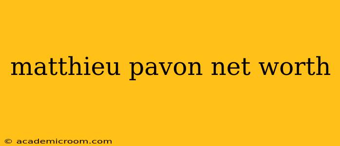 matthieu pavon net worth