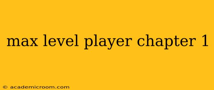 max level player chapter 1
