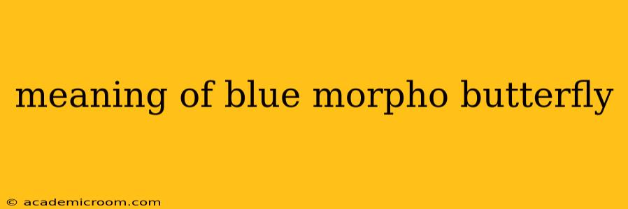 meaning of blue morpho butterfly