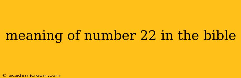 meaning of number 22 in the bible