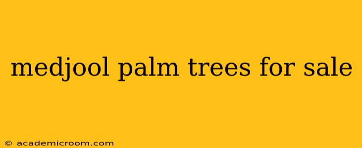 medjool palm trees for sale