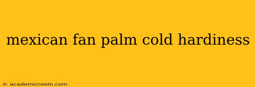 mexican fan palm cold hardiness