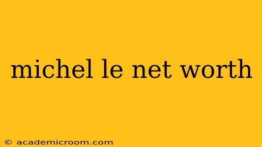 michel le net worth